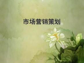 市场营销策划方案